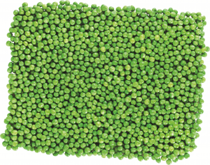 Garden peas, frozen